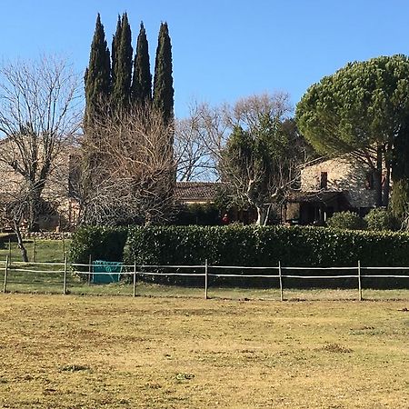 Podere Conte Racani Amelia Luaran gambar