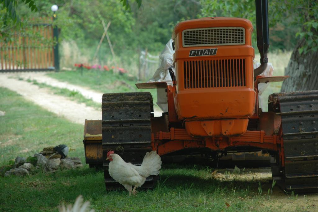 Podere Conte Racani Amelia Luaran gambar