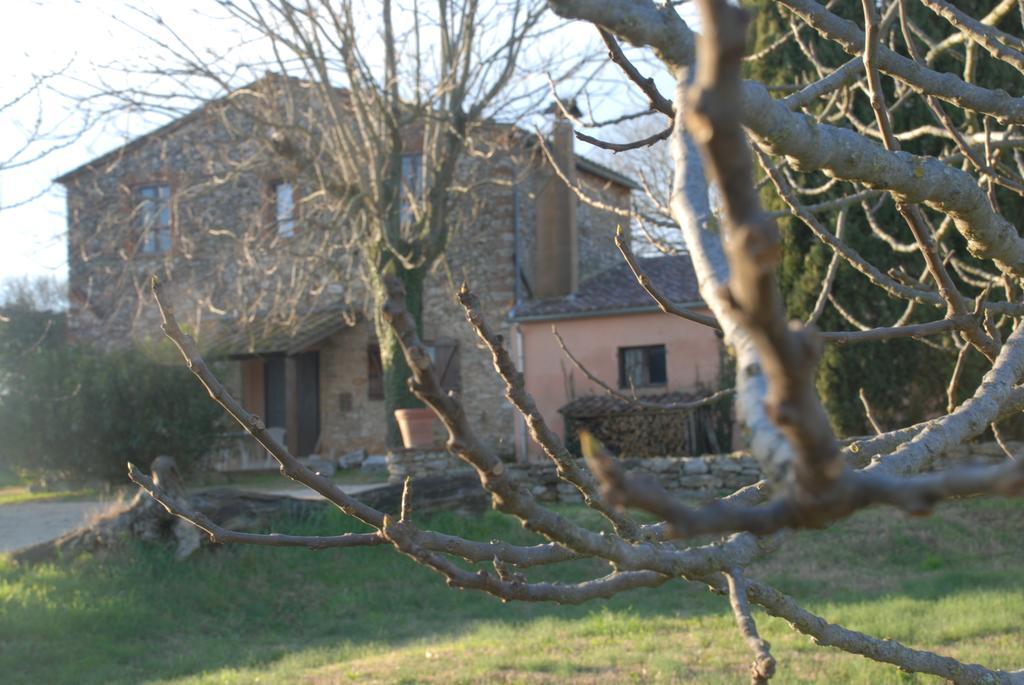 Podere Conte Racani Amelia Luaran gambar
