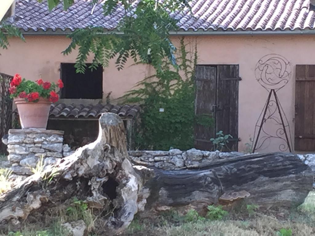 Podere Conte Racani Amelia Luaran gambar