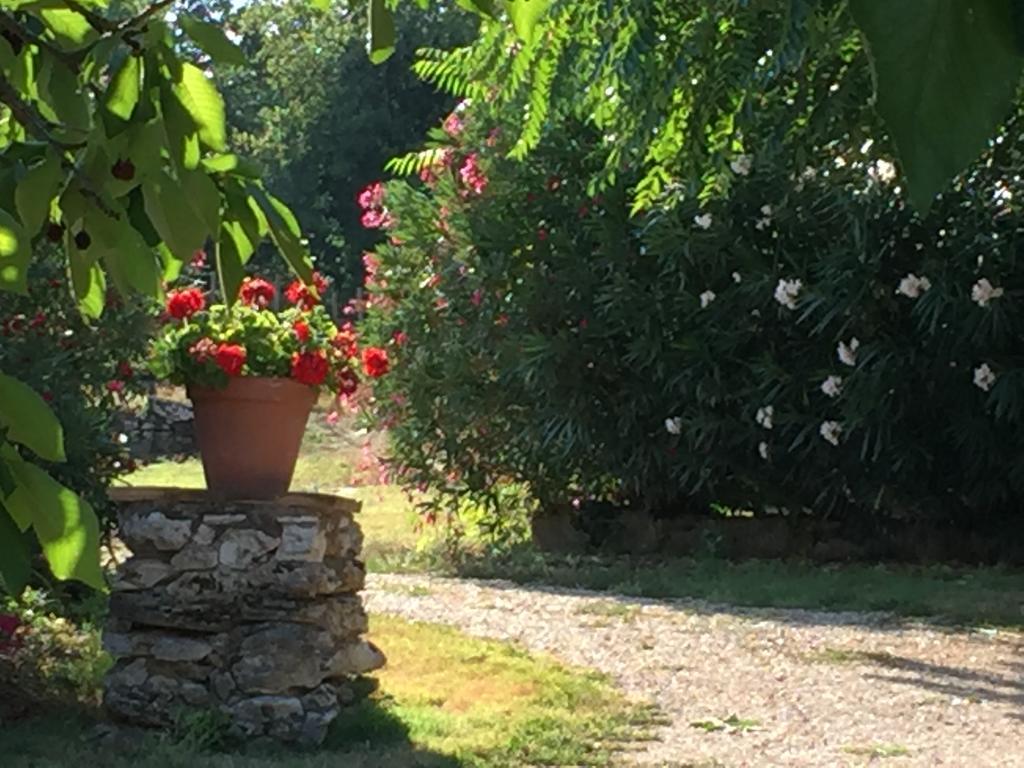 Podere Conte Racani Amelia Luaran gambar