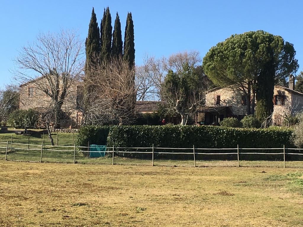 Podere Conte Racani Amelia Luaran gambar