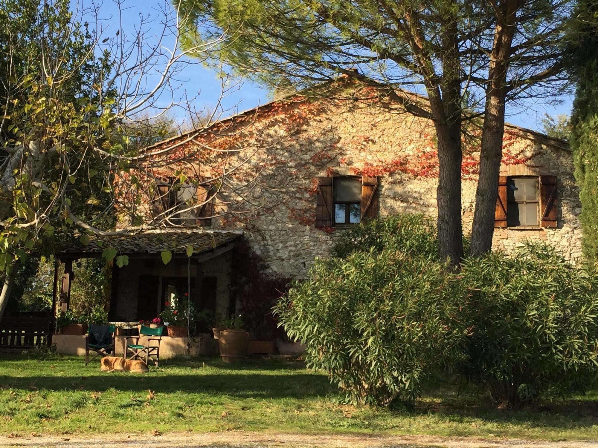 Podere Conte Racani Amelia Luaran gambar