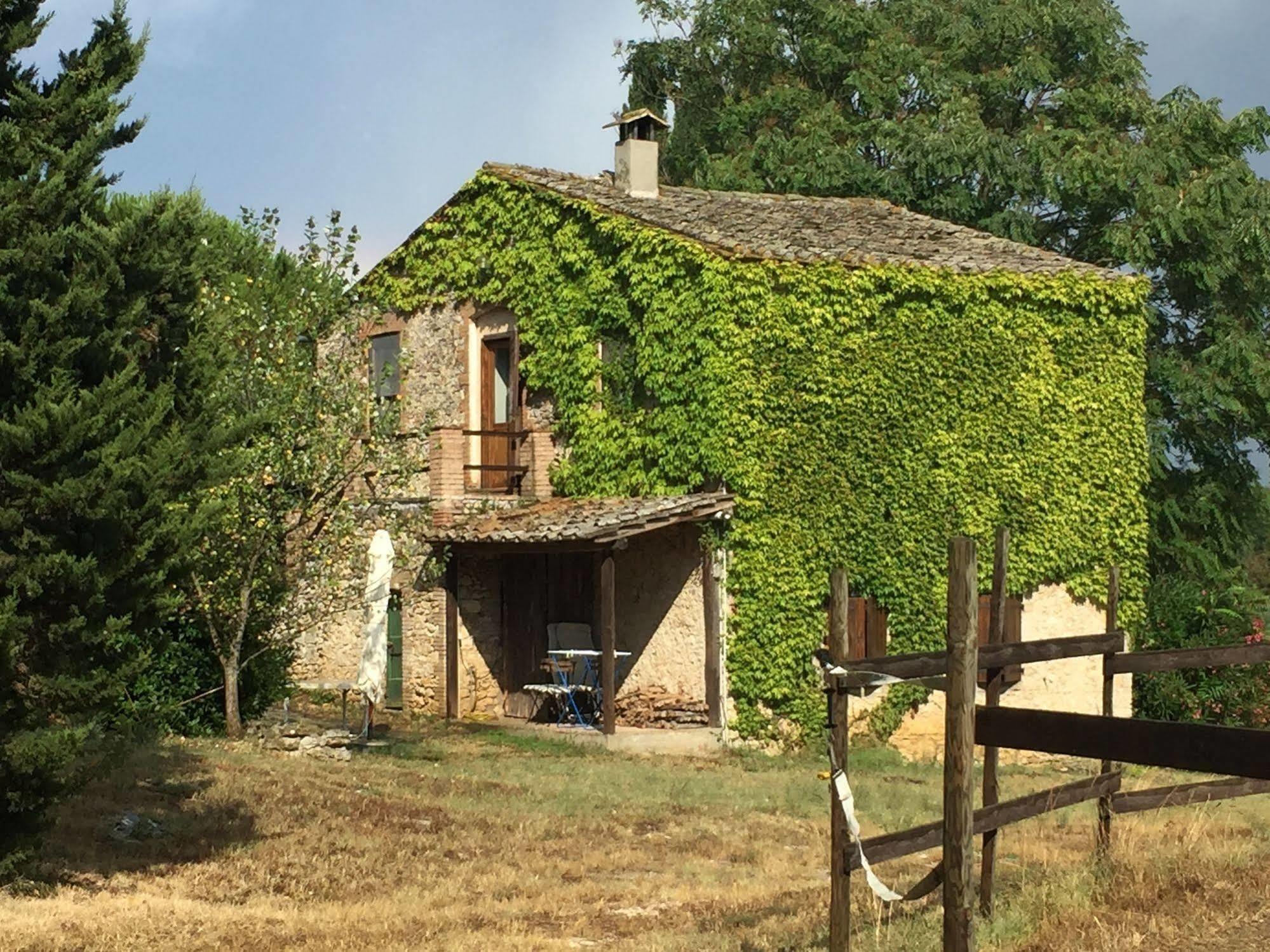 Podere Conte Racani Amelia Luaran gambar