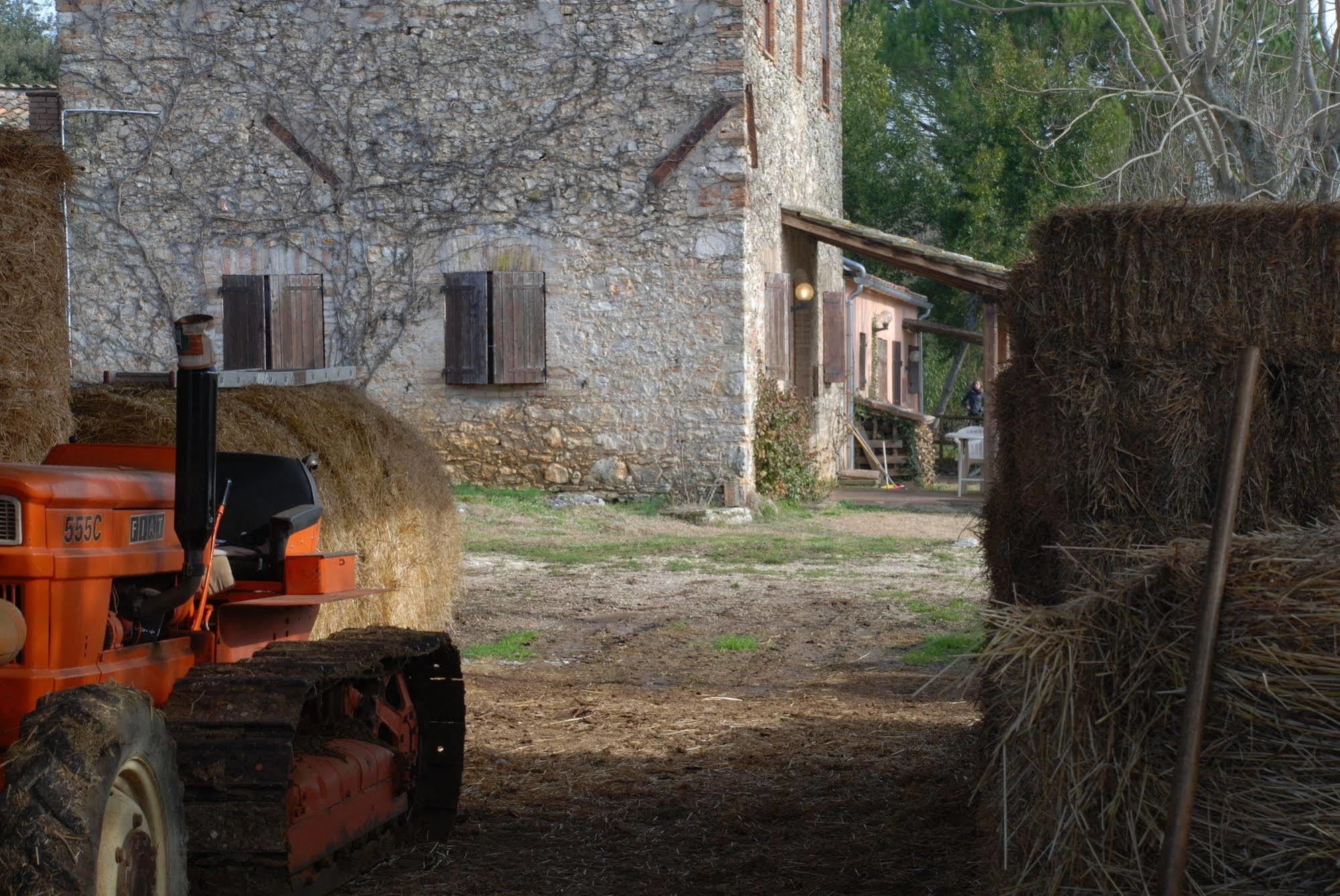 Podere Conte Racani Amelia Luaran gambar