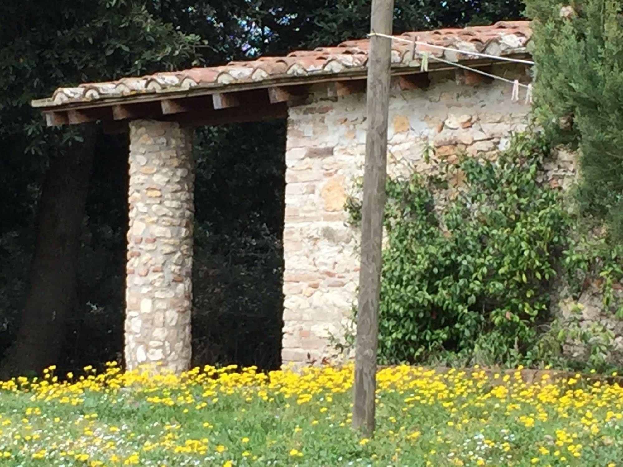 Podere Conte Racani Amelia Luaran gambar